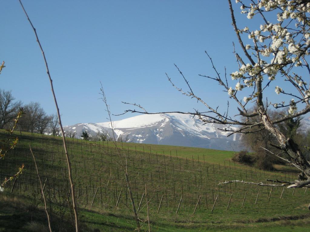 Agriturismo Spa Serpanera Sarnano Εξωτερικό φωτογραφία